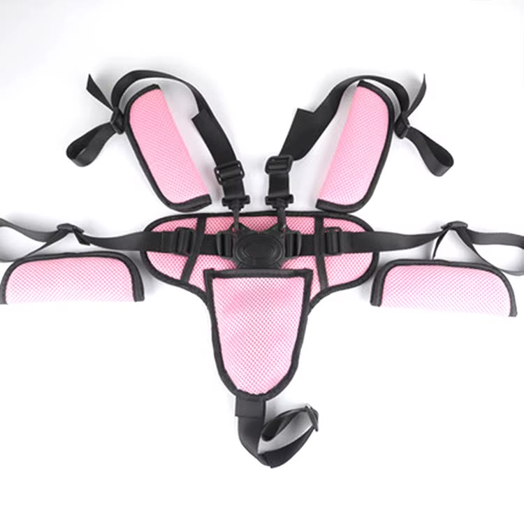 TMT 5-Point Child Harness